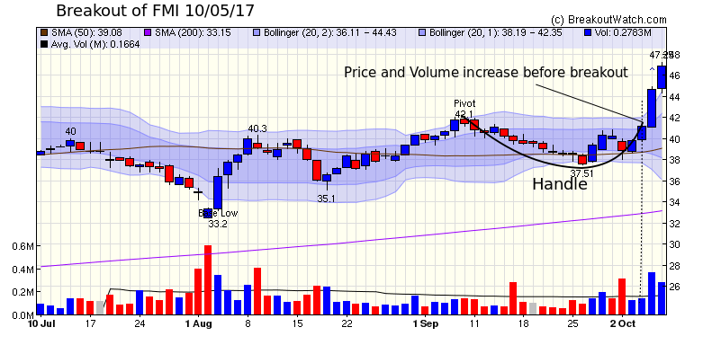 FMI Breakout