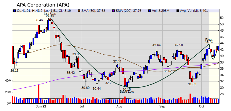 APA Chart