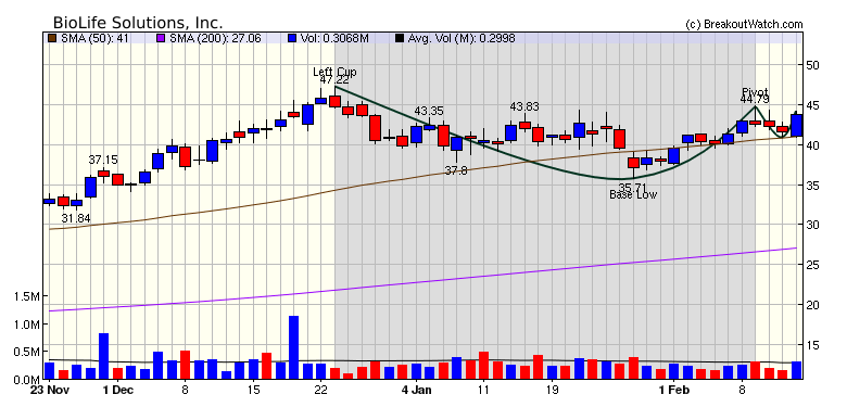 BLFS Chart