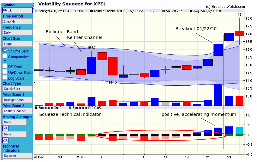 SQZ Breakout XPEL